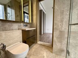 Klimt Cairnhill (D9), Apartment #473162081